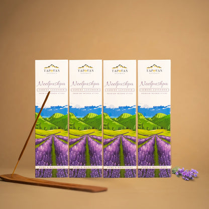LUXURY LAVENDER